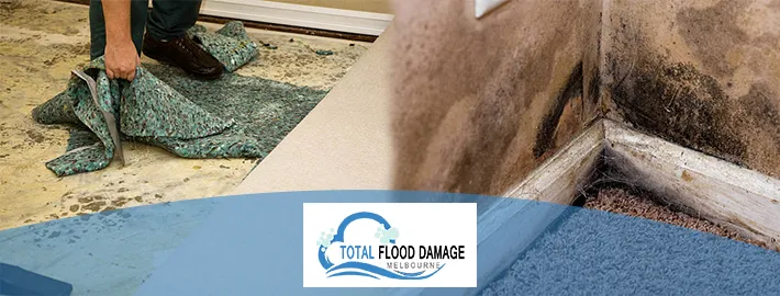 When Should You Contact Water Restoration Company?