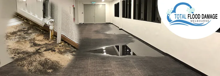 When to Take Carpet Water Damage Seriously?