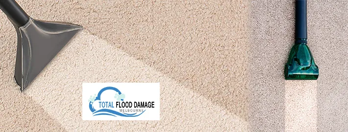 Why Is It Important To Clean The Carpet Professionally?
