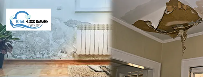 wet carpet cleaning in Melbourne