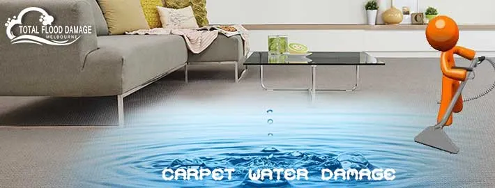 Essential to Hire Professionals For Carpet Water Damage Services