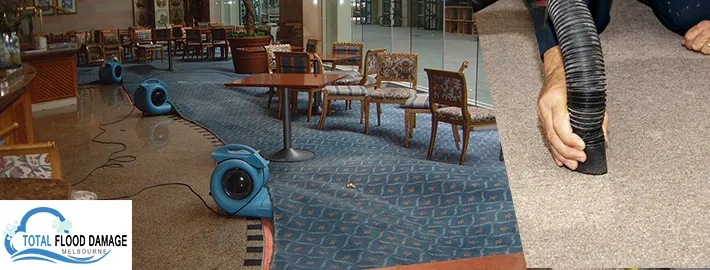wet carpet cleaning Melbourne