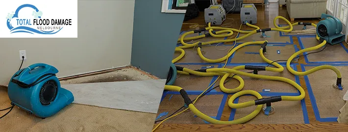 Why Professional Flood Damage Restoration Help Is The Right Answer?