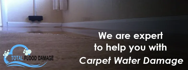 Why You Should Hire a Professional Water Damage Restoration Company