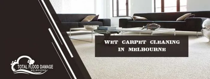 How to Choose the Right Wet Carpet Drying Company